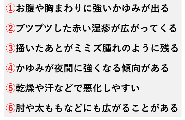 ①お腹や胸まわりに強いかゆみが出る  ②ブツブツした赤い湿疹が広がってくる  ③掻いたあとがミミズ腫れのように残る  ④かゆみが夜間に強くなる傾向がある  ⑤乾燥や汗などで悪化しやすい  ⑥肘や太ももなどにも広がることがある