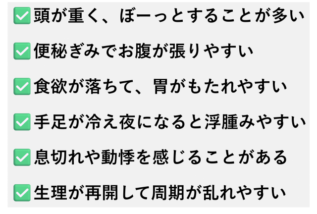 ✅️頭が重く、ぼーっとすることが多い  ✅️便秘ぎみでお腹が張りやすい  ✅️食欲が落ちて、胃がもたれやすい  ✅️手足が冷え夜になると浮腫みやすい  ✅️息切れや動悸を感じることがある  ✅️生理が再開して周期が乱れやすい