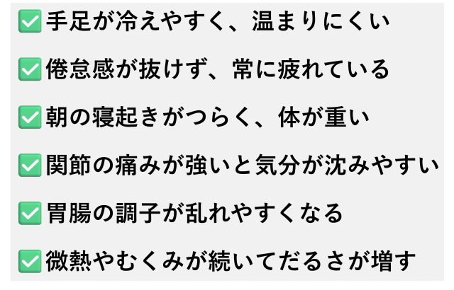 ✅️手足が冷えやすく、温まりにくい  ✅️倦怠感が抜けず、常に疲れている  ✅️朝の寝起きがつらく、体が重い  ✅️関節の痛みが強いと気分が沈みやすい  ✅️胃腸の調子が乱れやすくなる  ✅️微熱やむくみが続いてだるさが増す