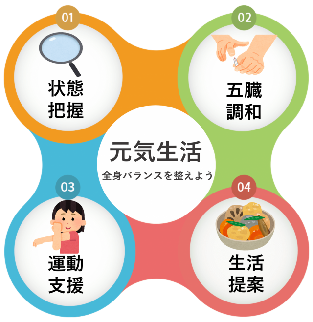 元気生活　全身バランスを整えよう　1状態把握　2五臓調和　3運動支援　4生活提案