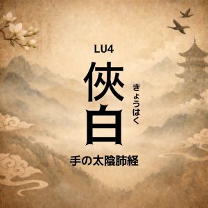 手の太陰肺経 侠白きょうはく LU4
