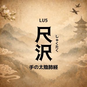 手の太陰肺経 「尺沢（しゃくたく）」